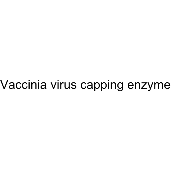 Vaccinia virus capping enzyme